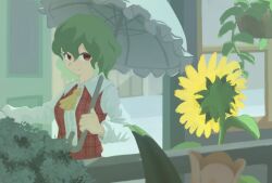 kazami yuuka from touhou