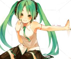 hatsune miku from vocaloid by mmlu (honwa karesu)