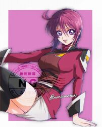 lunamaria hawke from gundam