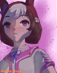 special week (umamusume) from umamusume