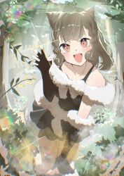 kachimachi kosuzu from link! like! love live!