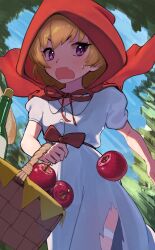 houjou satoko from higurashi no naku koro ni