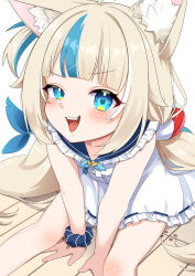 sameko saba from indie virtual youtuber