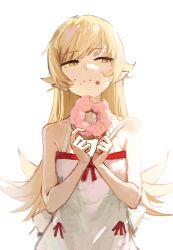 oshino shinobu from monogatari (series)