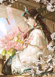 dan heng (honkai: star rail) from honkai: star rail