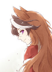 symboli rudolf (umamusume) from umamusume by mon momu