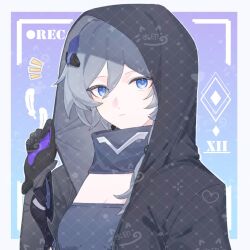 fu hua from honkai (series)