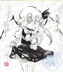 flandre scarlet from touhou