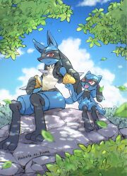 lucario from pokemon