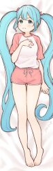 hatsune miku from vocaloid