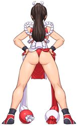 shiranui mai from fatal fury