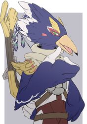 revali from the legend of zelda