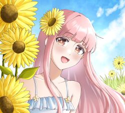 nikki (nikki) from nikki (series)