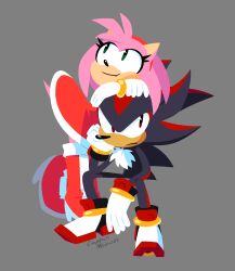 amy rose from sonic (series)
