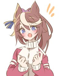tokai teio (umamusume) from umamusume