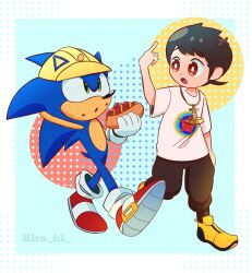 sonic the hedgehog from sonic (series)