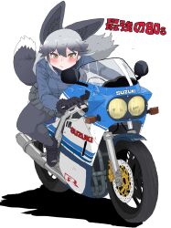 silver fox (kemono friends) from kemono friends