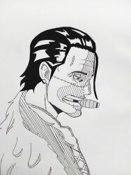 crocodile (one piece) from one piece