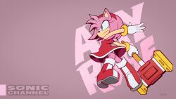 amy rose from sonic (series)