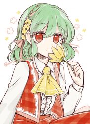 kazami yuuka from touhou by tama (hiroshige 36)
