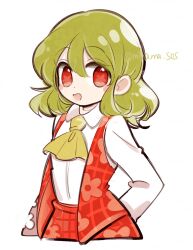 kazami yuuka from touhou by tama (hiroshige 36)