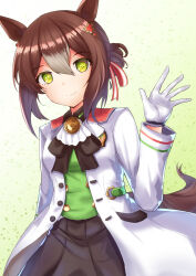 fine motion (umamusume) from umamusume
