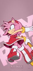 amy rose from sonic (series)