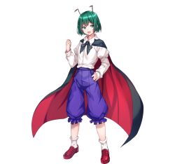 wriggle nightbug from touhou