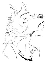 legoshi from beastars by sei (seiryuuden)