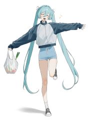 hatsune miku from vocaloid