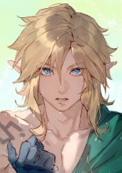 link from the legend of zelda