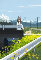 curren bouquetd'or (umamusume) from umamusume