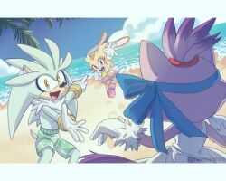blaze the cat from sonic (series)