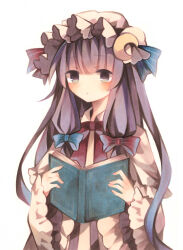 patchouli knowledge from touhou
