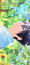 nanase haruka (free!) from free!