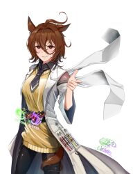 agnes tachyon (tach-nology) (umamusume) from umamusume