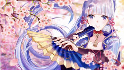 kamisato ayaka from genshin impact