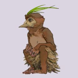 nuzleaf from pokemon