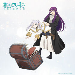 fern (sousou no frieren) from sousou no frieren
