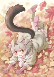 kemono friends fan art