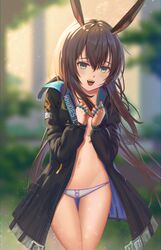 amiya (arknights) from arknights