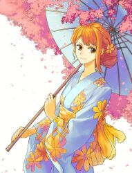 nami (one piece) from one piece