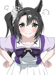 satono crown (umamusume) from umamusume