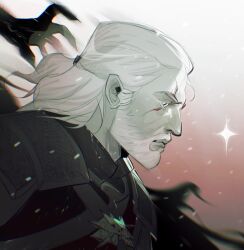 geralt of rivia from the witcher (series)