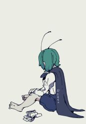 wriggle nightbug from touhou
