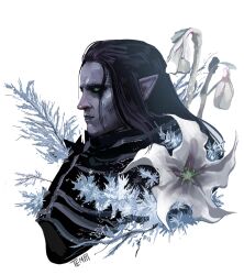the witcher (series) fan art