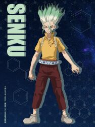 ishigami senkuu from dr. stone
