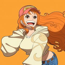 nami (one piece) from one piece