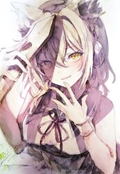 toyosatomimi no miko from touhou