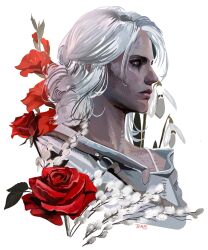 ciri from the witcher (series)